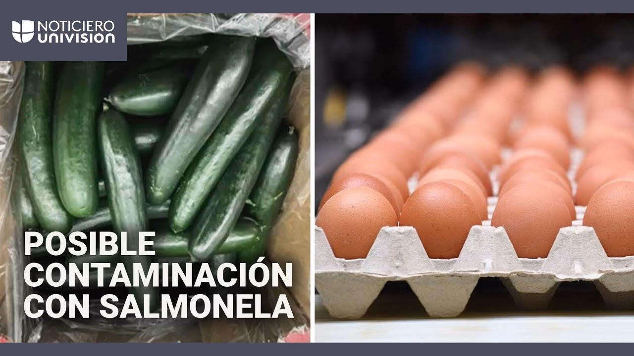 ¿Cómo prevenir la salmonelosis?