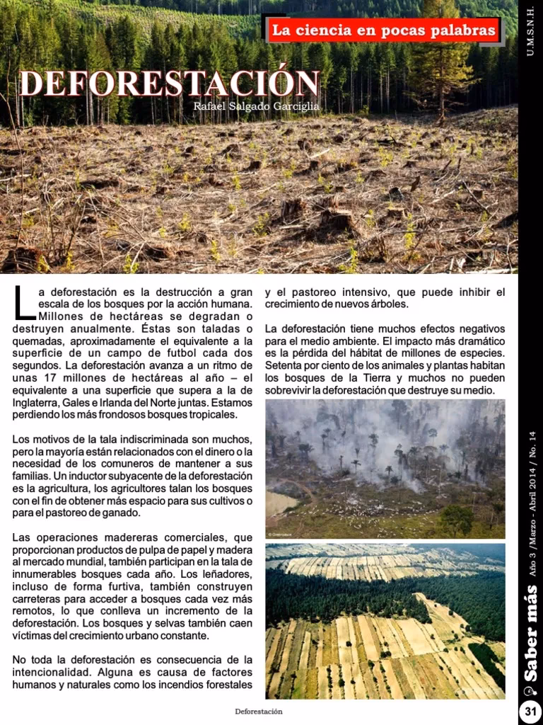 ¿Cómo afecta el karité al medio ambiente?