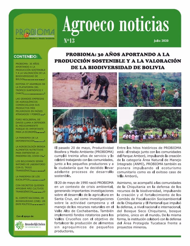 ¿Cuáles son las estrategias para el cuidado del Medio Ambiente en Bolivia?