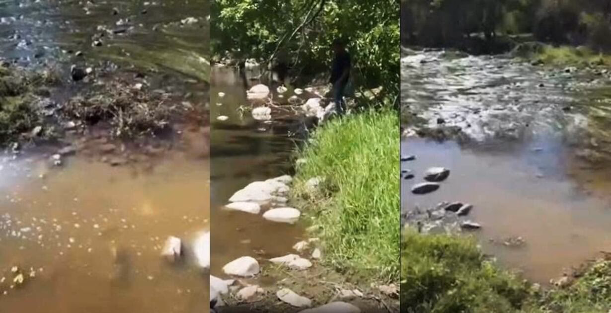 ¿Cuáles son los efectos del agua en la infancia?