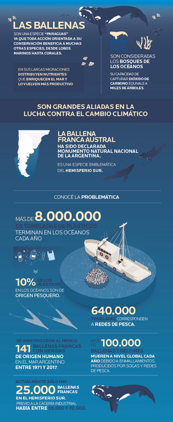 ¿Cómo proteger el medio ambiente en los próximos diez años?