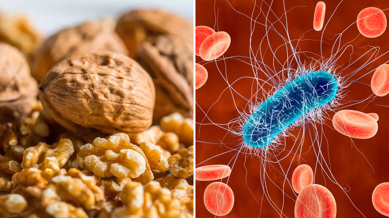 ¿Cuáles son las consecuencias del exceso de gluten?