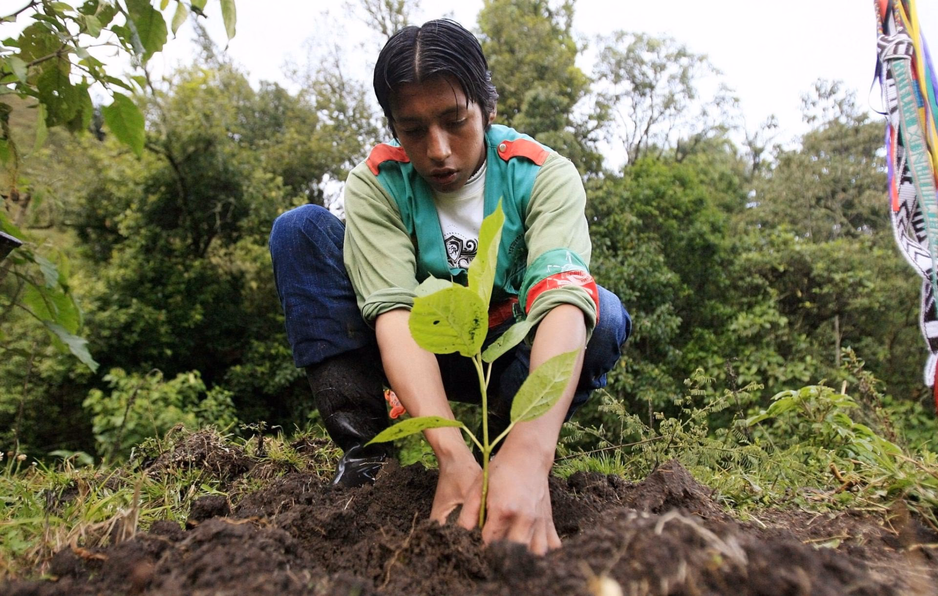 ¿Cuál es la historia del cuidado del Medio Ambiente?