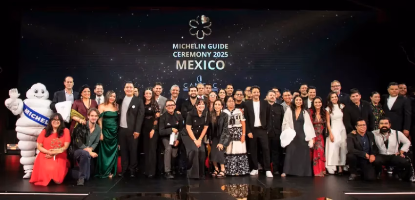 ¿Cuáles son las causas de la sustentabilidad y sostenibilidad de Adidas?