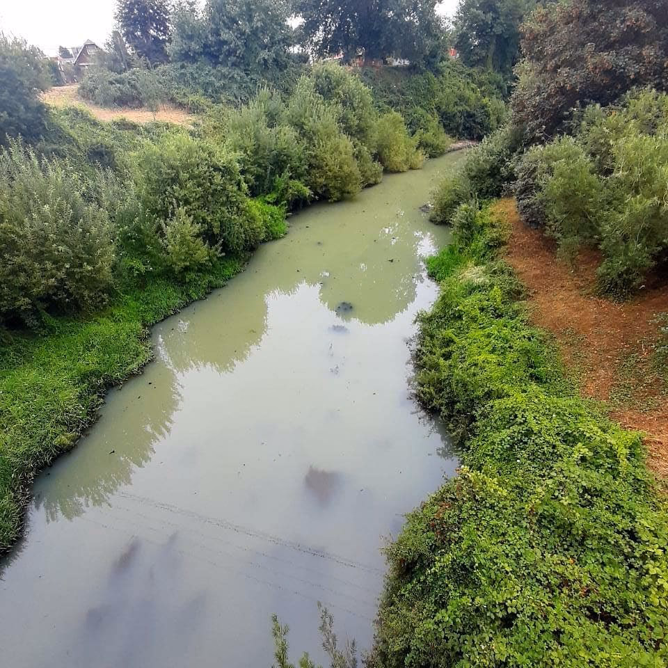 ¿Cuándo comienza a operar la planta Aconcagua de aguas Pacífico?