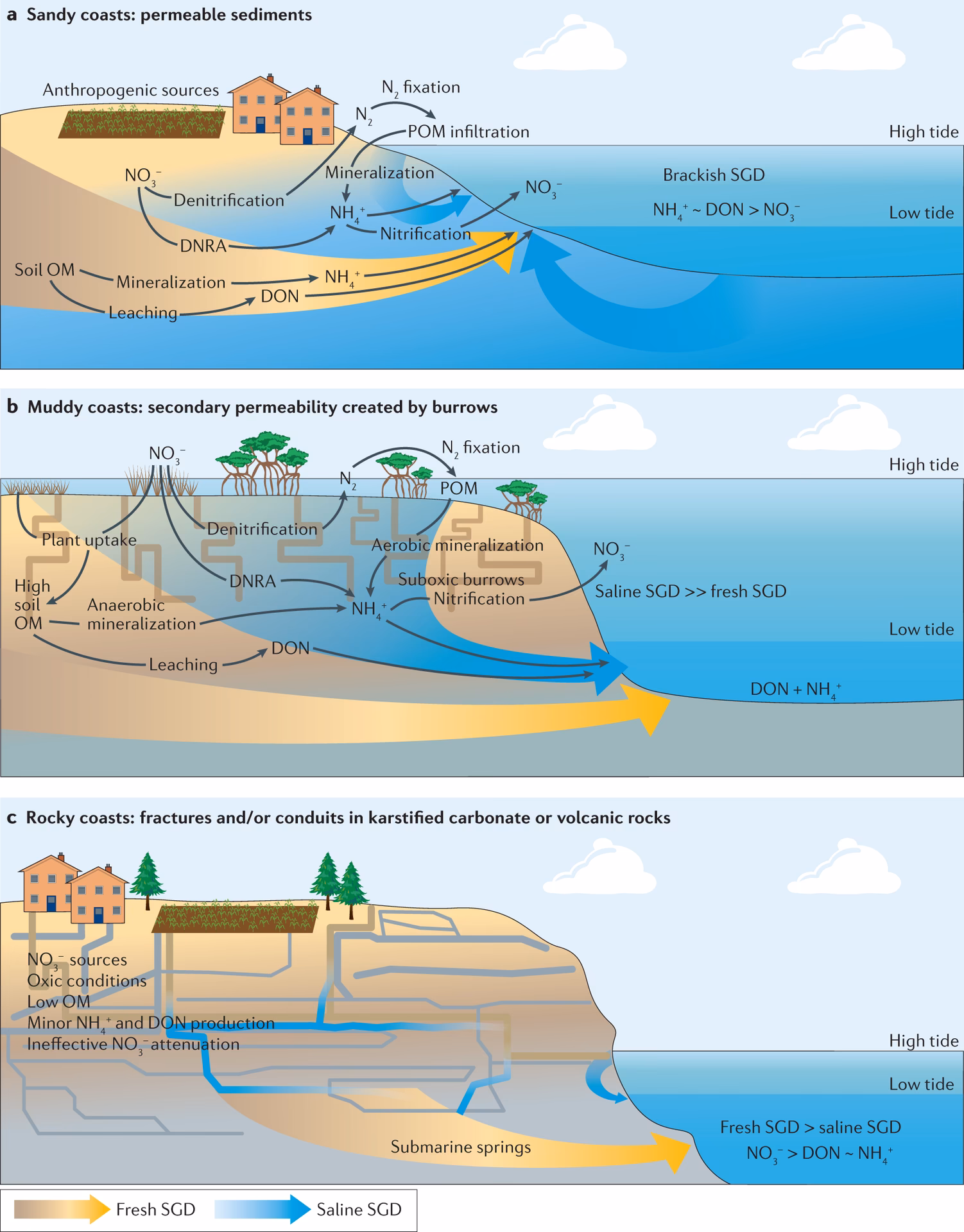 Do water column primary production and external inputs influence nutrient fluxes?