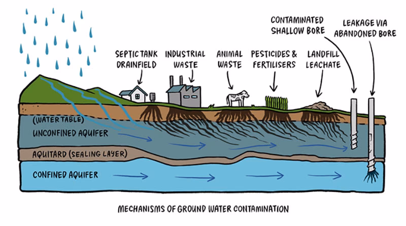 What causes water pollution in New Zealand?
