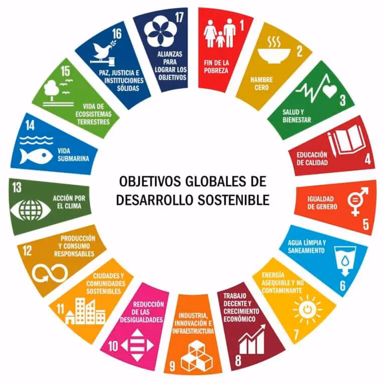 ¿Qué es la guía para la elaboración de planes municipales de desarrollo?