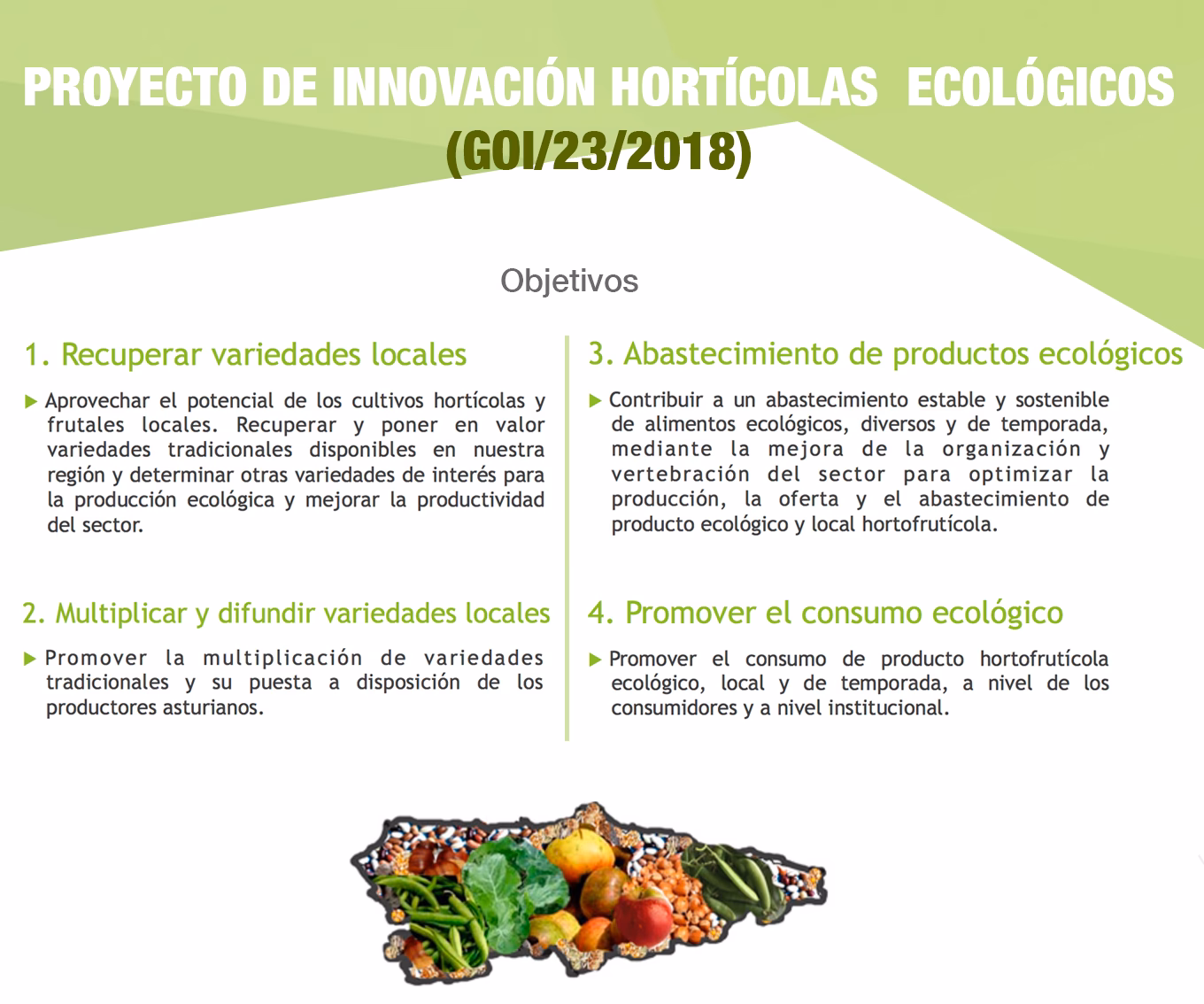 ¿Dónde se pueden encontrar los productos ecológicos?