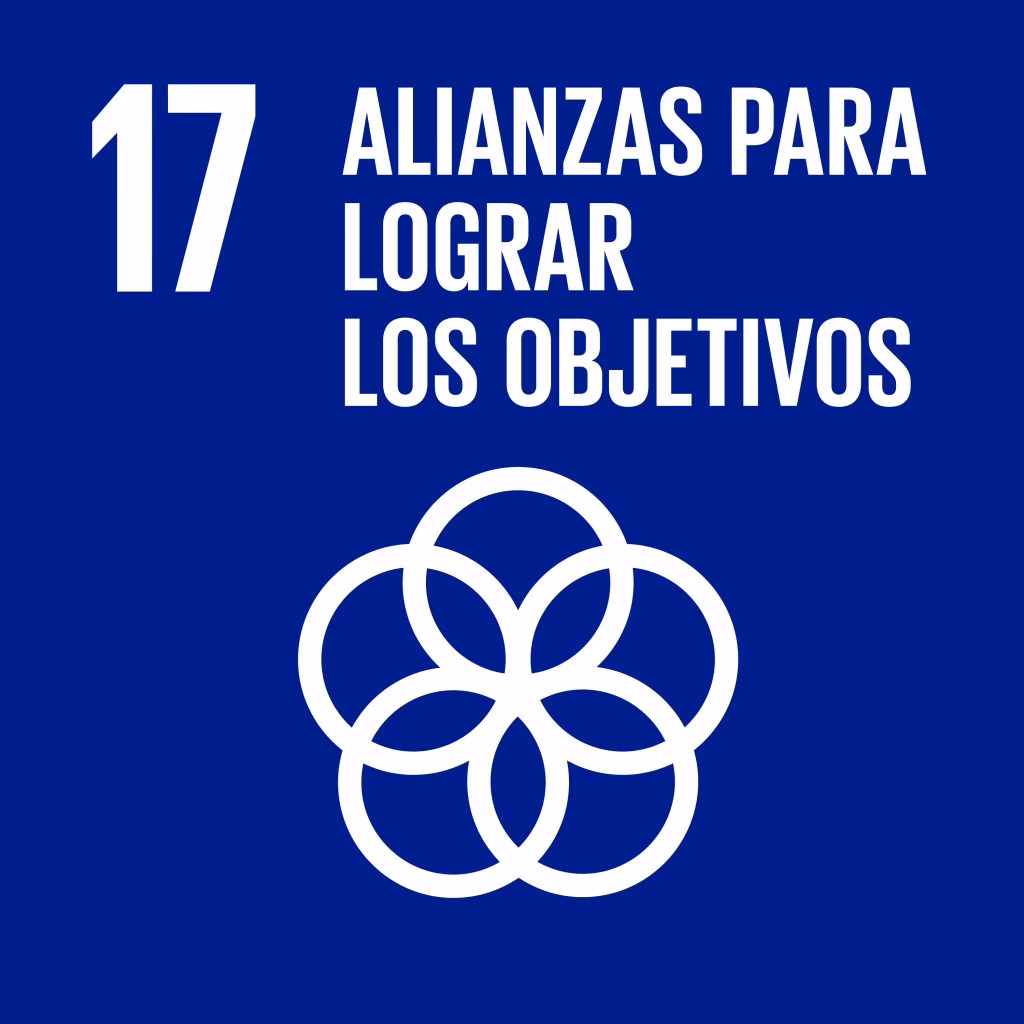 ¿Cómo se pueden aprovechar las interrelaciones entre los objetivos de Desarrollo Sostenible?