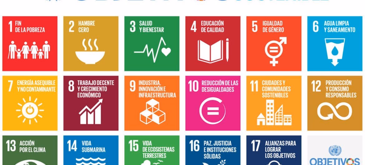 ¿Cuáles son los objetivos de desarrollo de los Estados miembros de Naciones Unidas?