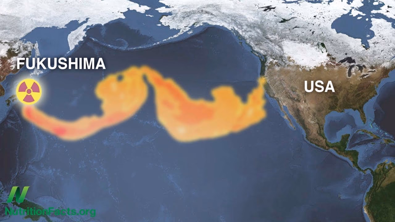 What impact does radioactive contamination have on marine life?