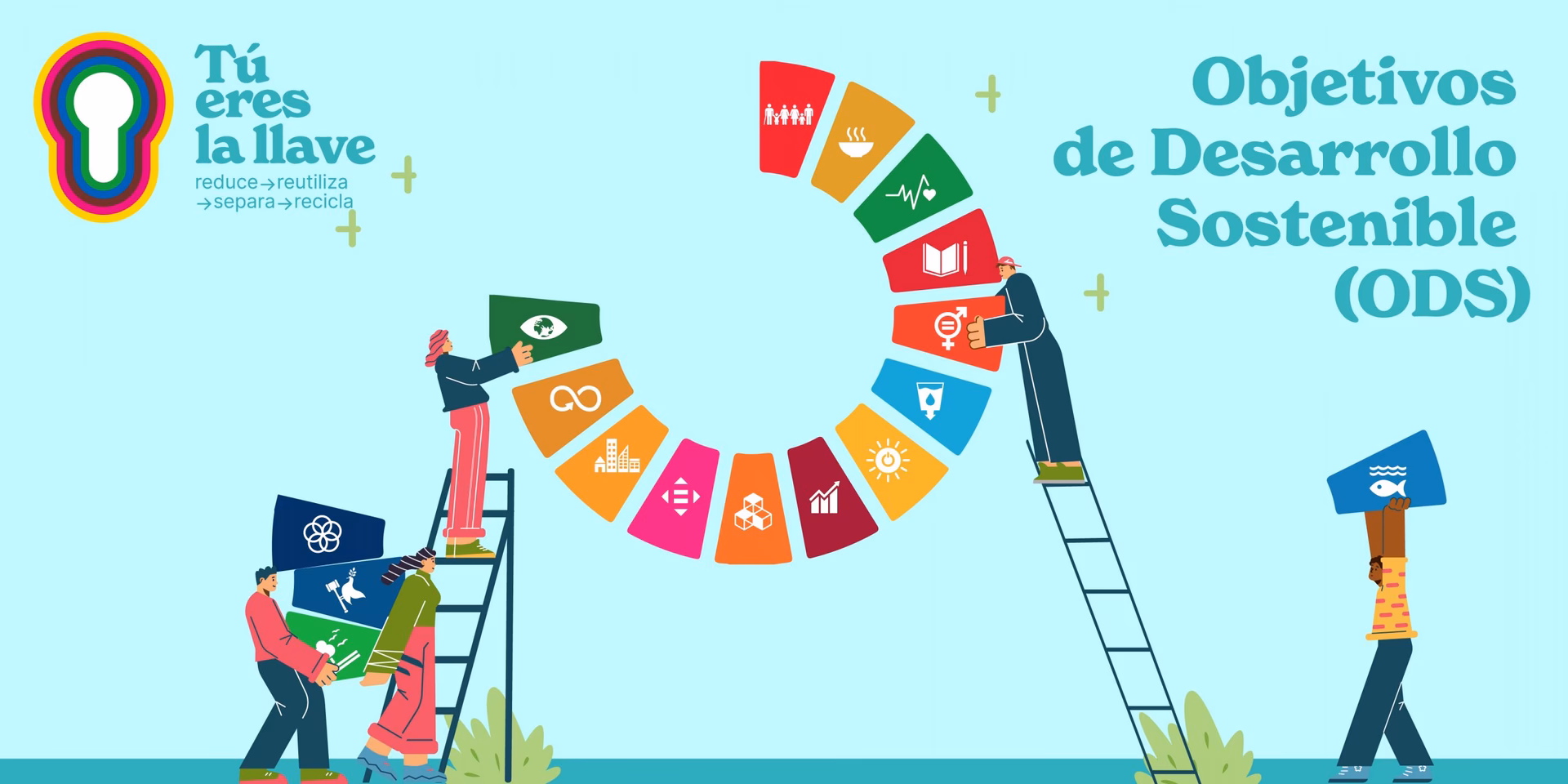 ¿Qué empresas pueden contribuir al ODS 12?