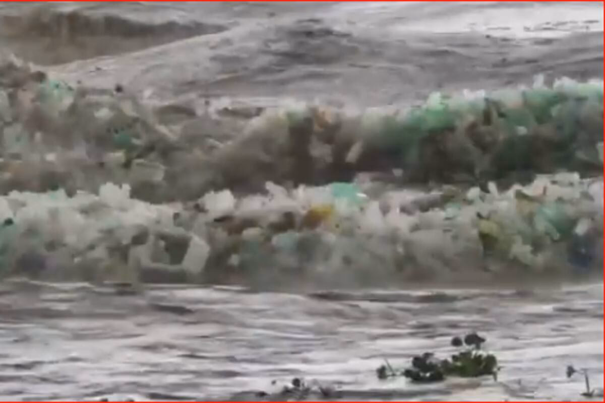 ¿Cuáles son las consecuencias de las olas de calor?