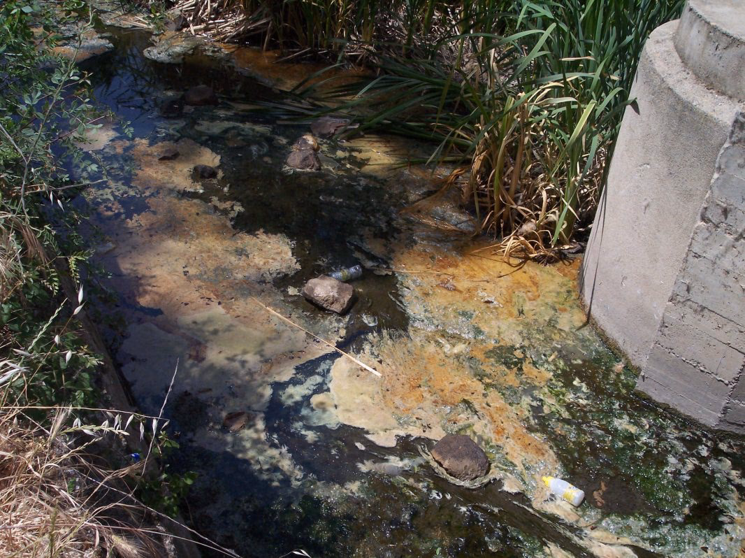 ¿Cómo se declara el suelo contaminado?