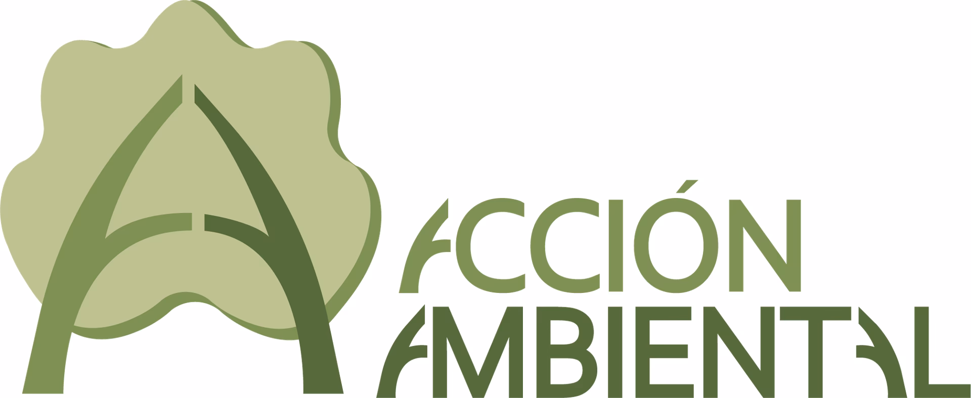 ¿Cuál es la misión del Foro ambiental Córdoba – Asociación Civil?