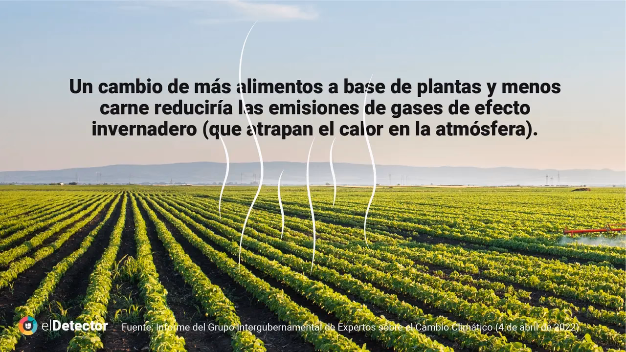 ¿Por qué las personas coman menos carne para ayudar a abordar el cambio climático?