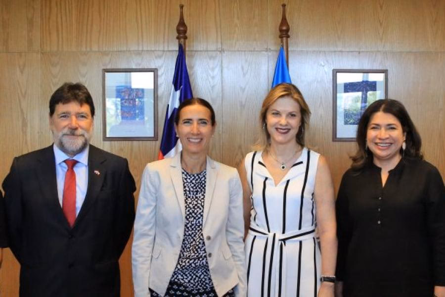 ¿Qué son las campañas ONU Medio Ambiente?