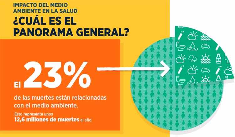 ¿Qué es la cooperación entre la OMS y la ONU Medio Ambiente?