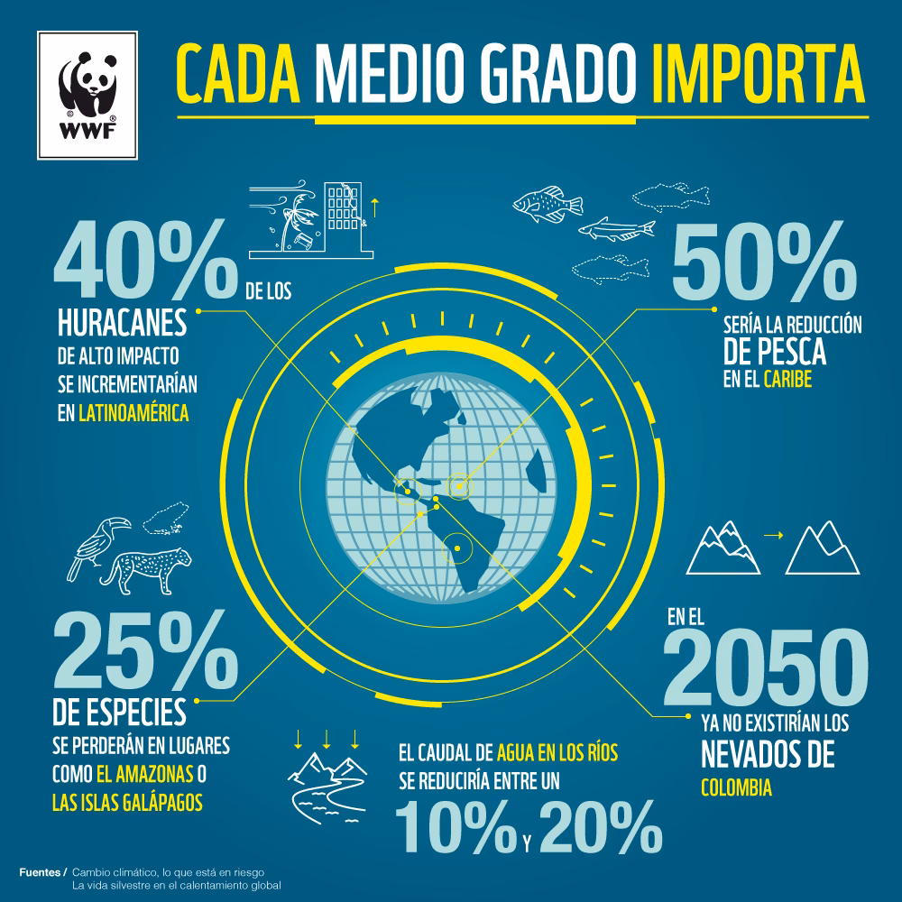 ¿Qué es la ONU cambio climático?