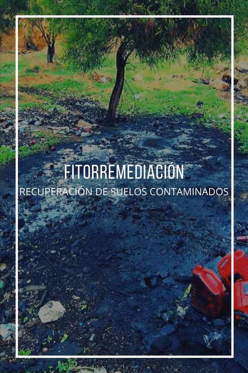 ¿Cuáles son las técnicas térmicas para la descontaminación de suelos?