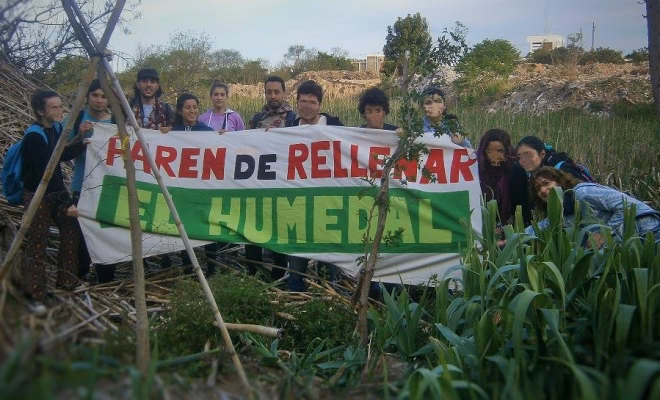 ¿Qué es el orden óptico ambiental?