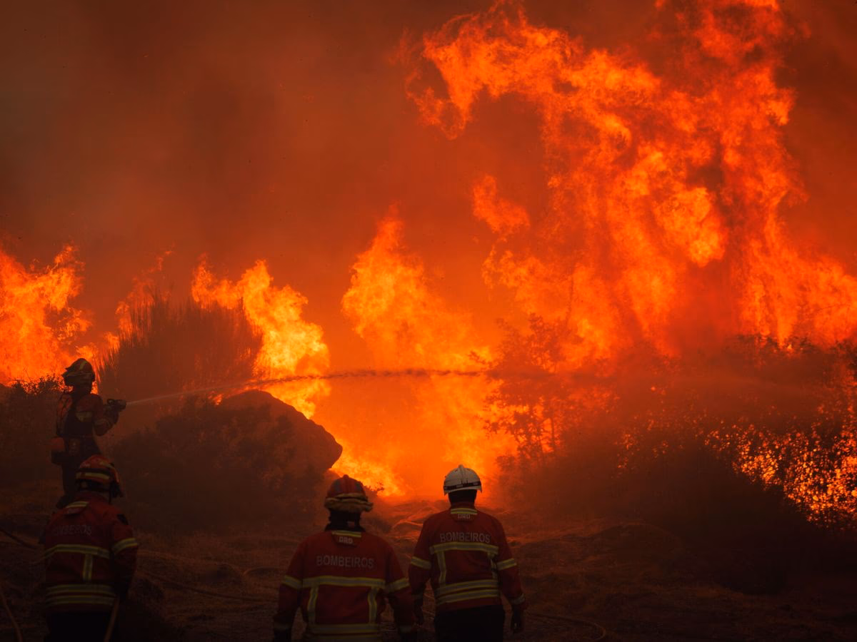 ¿Cómo podemos mitigar los peores efectos del cambio climático?
