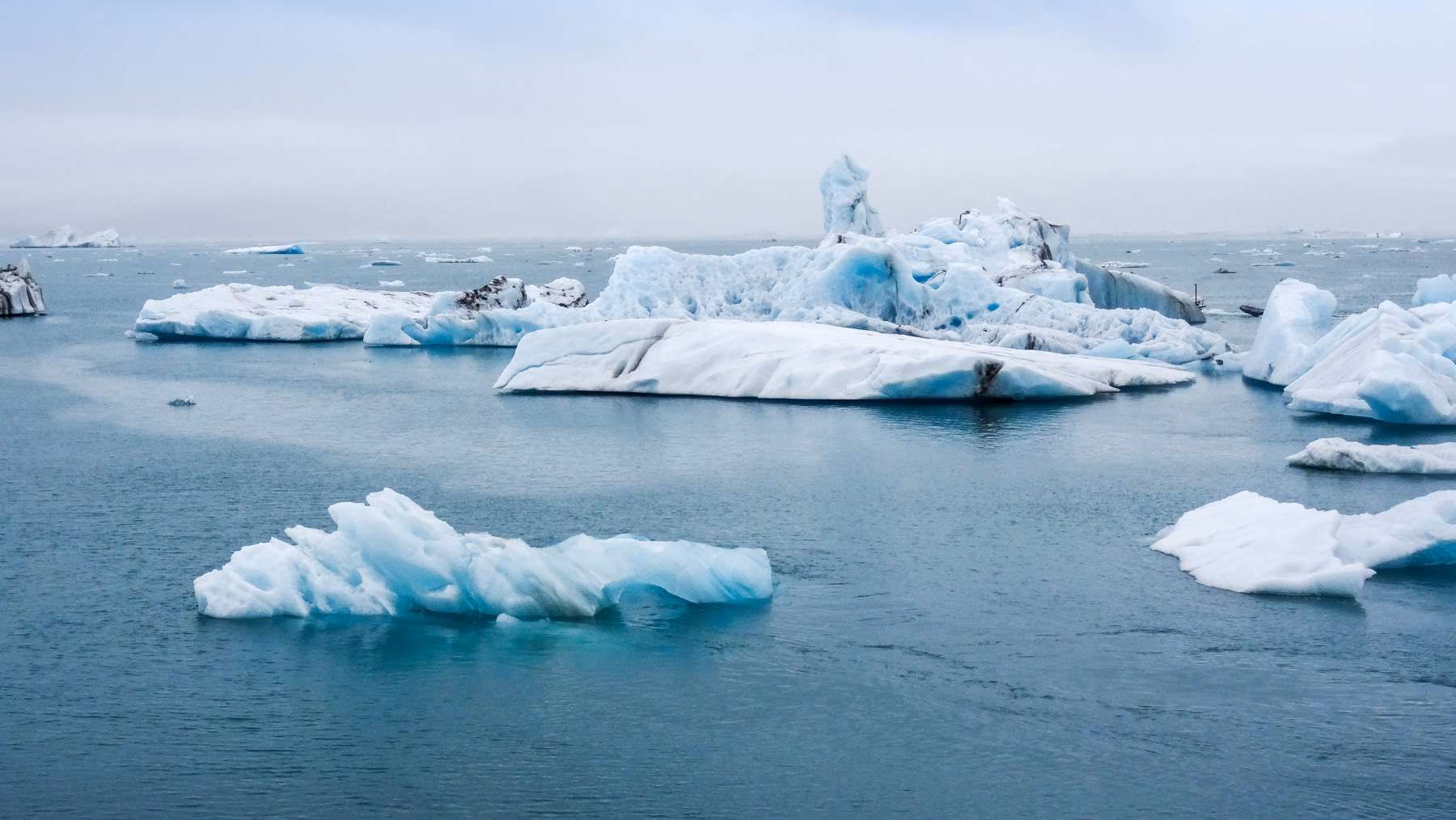 ¿Qué es la lucha contra el cambio climático?