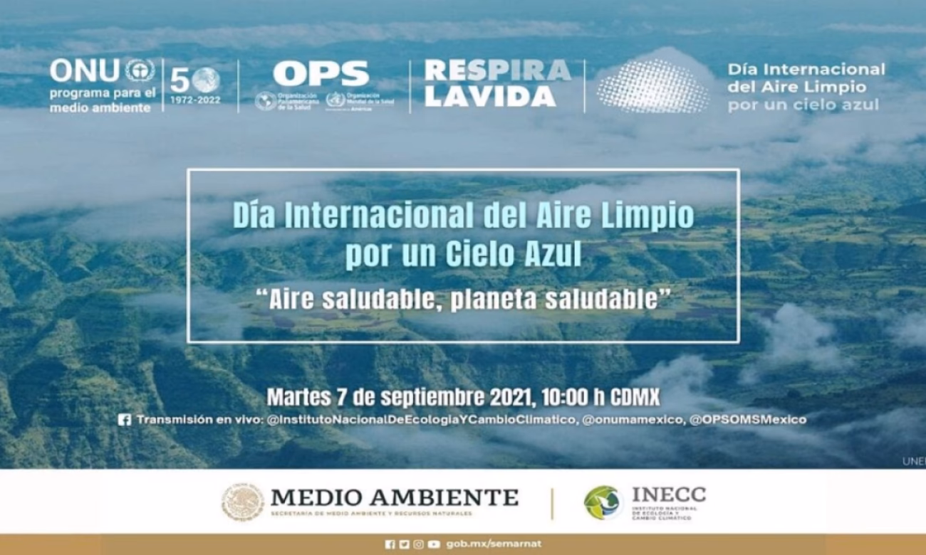 ¿Qué es el orden óptico ambiental?