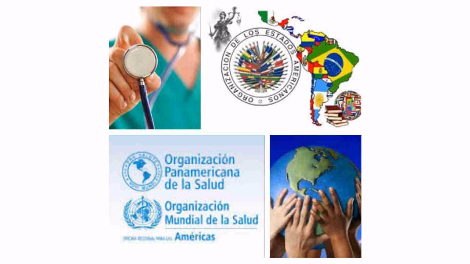 ¿Cómo están trabajando las organizaciones de Desarrollo Sostenible en Perú 2021?