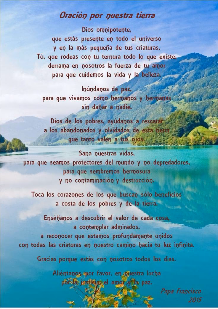 ¿Por qué el papa Francisco fue declarado custodio de la Iglesia Universal?