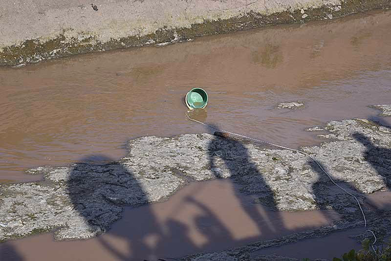 ¿Qué son los procesos de ordenamiento ambiental?