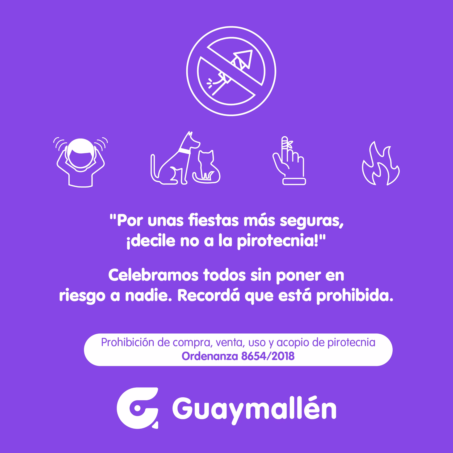 ¿Cuál es el objeto de la ordenanza ambiental?