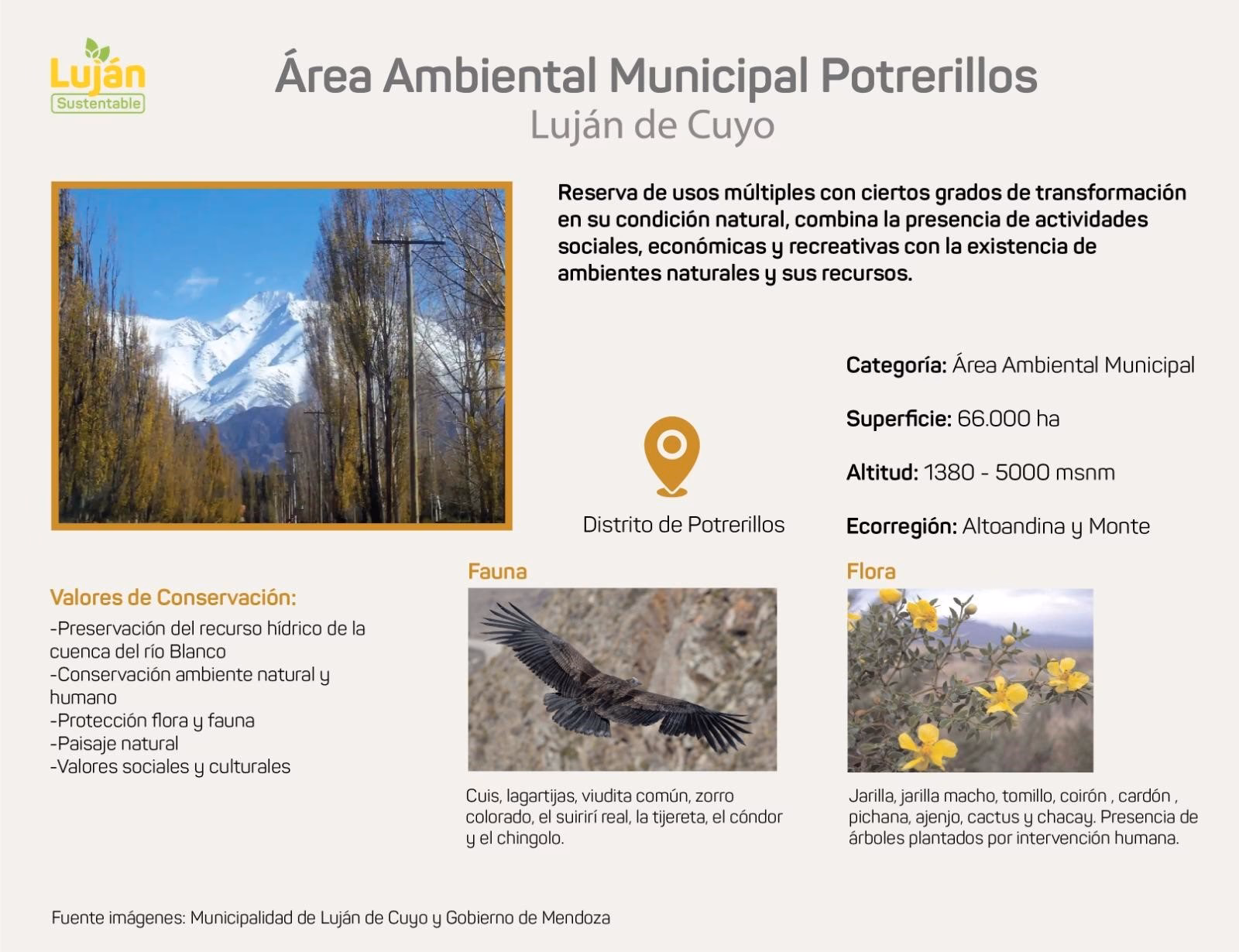 ¿Cuál es la Ordenanza de la Municipalidad de Godoy Cruz y Lujan de cuyo?