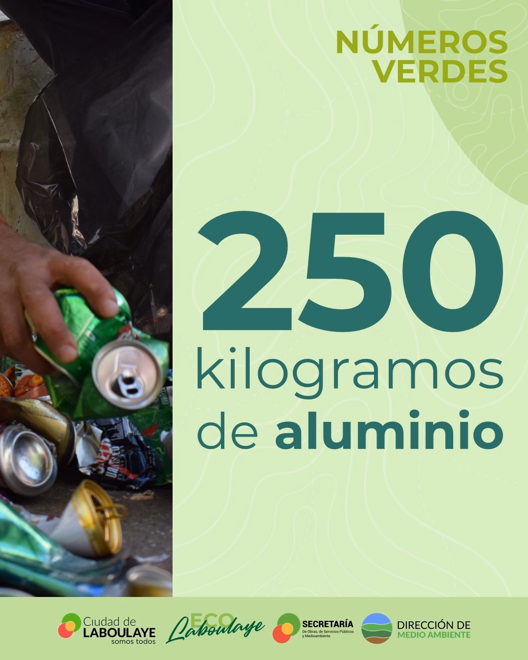 ¿Quién elabora las ordenanzas ambientales?