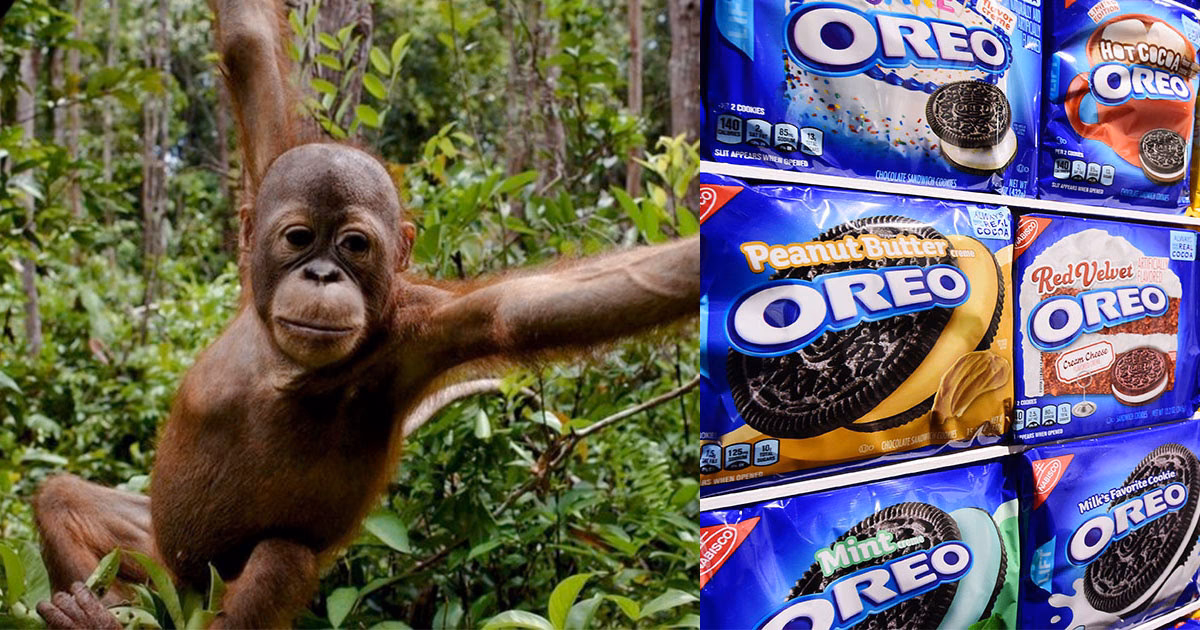 ¿Por qué no se debe consumir Oreo, Ritz?