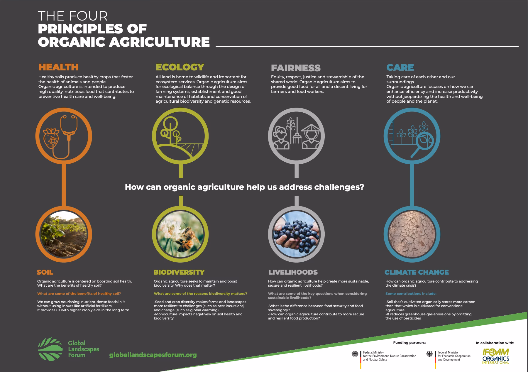What is organic agriculture & why is it important?