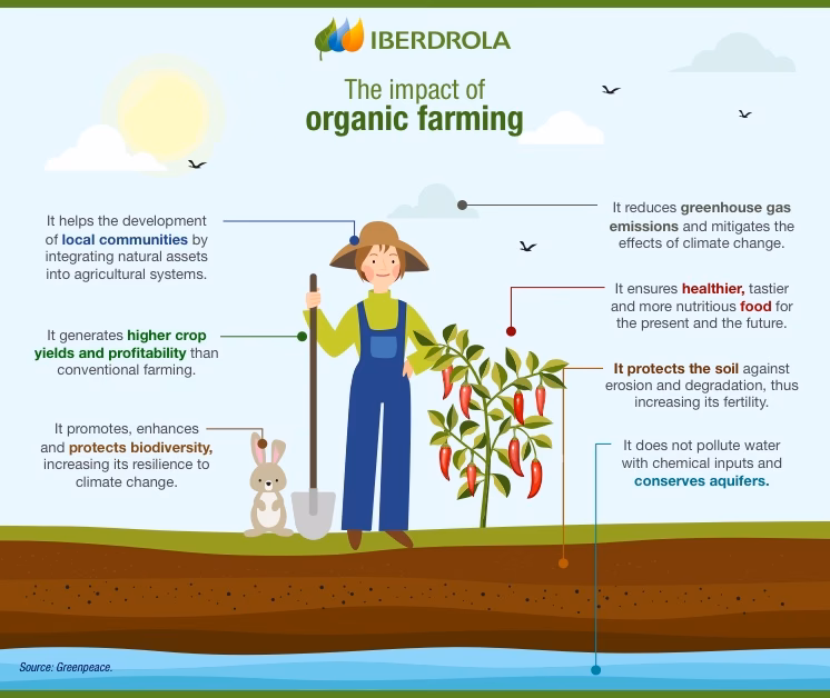 When did organic farming start?