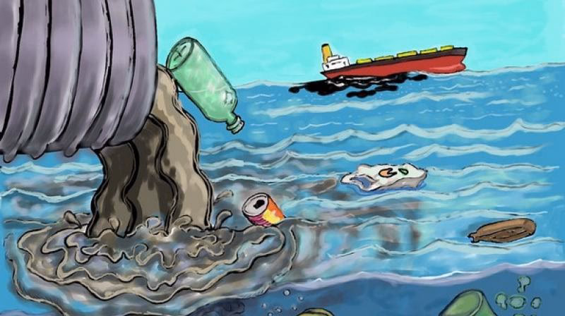 What is organic pollution in water systems?