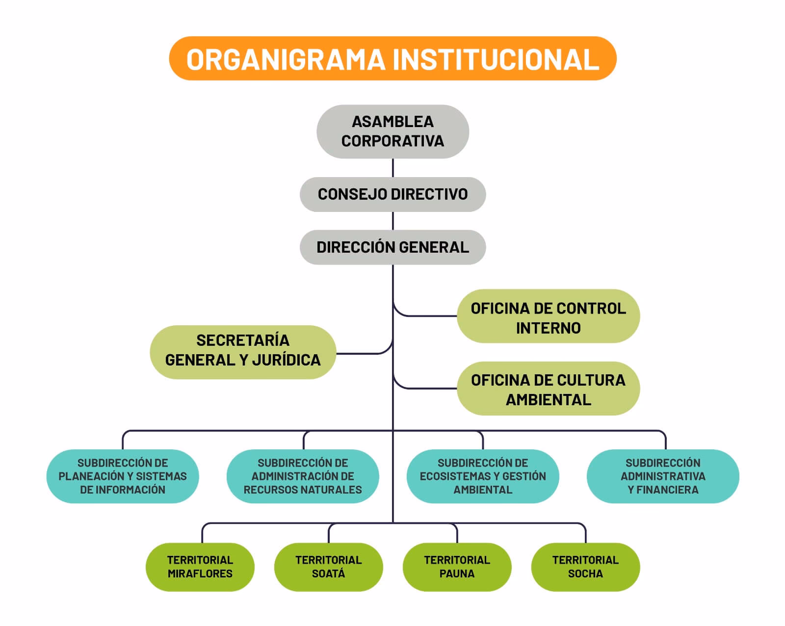 ¿Qué es un organigrama de una empresa?
