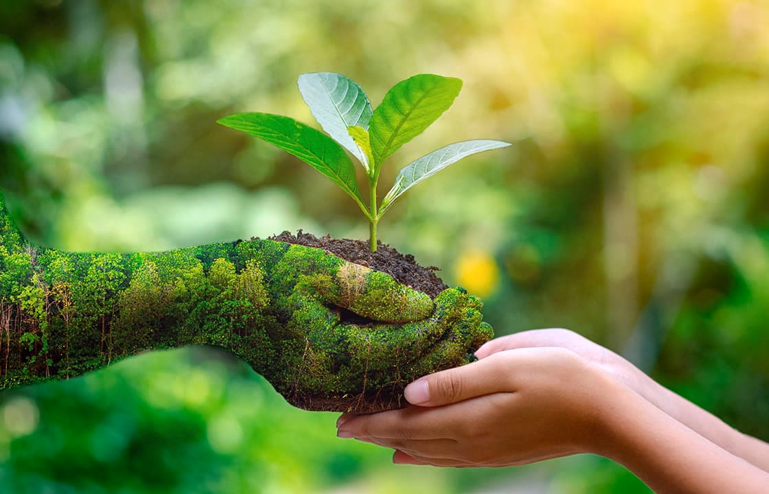 ¿Quién es la responsable del municipio de Zárate?