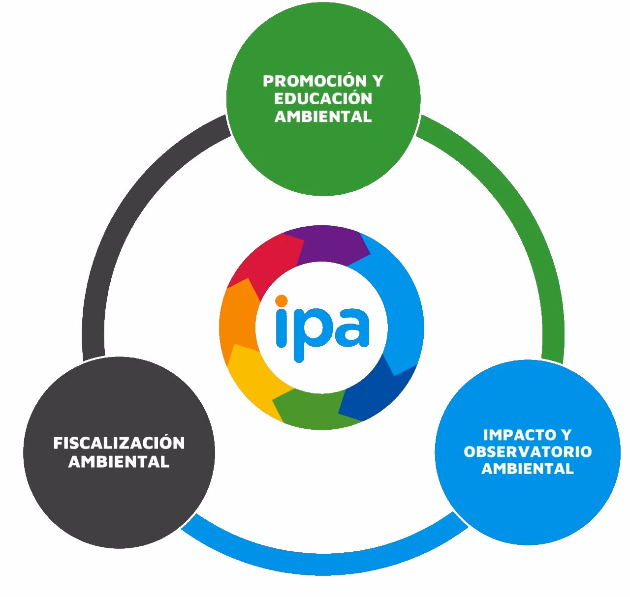 ¿Cuáles son las organizaciones ambientalistas?