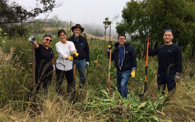 ¿Cuándo se crearon los primeros organismos de protección al medio ambiente en México?