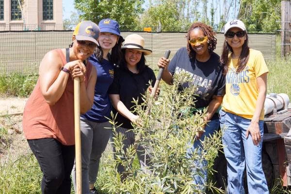 ¿Cuáles son las competencias locales en materia de protección del Medio Ambiente?