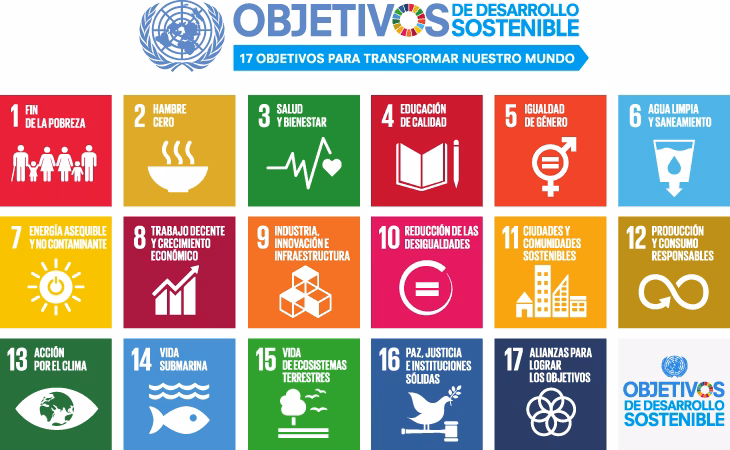 ¿Cómo organizar una edición de Desarrollo Sostenible?