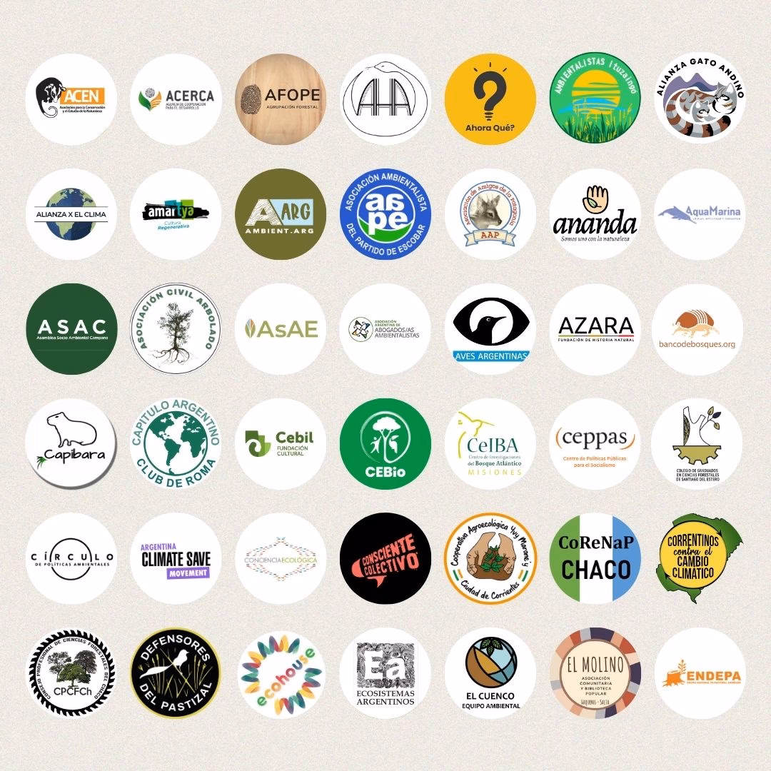 ¿Cómo combatir el cambio climático?