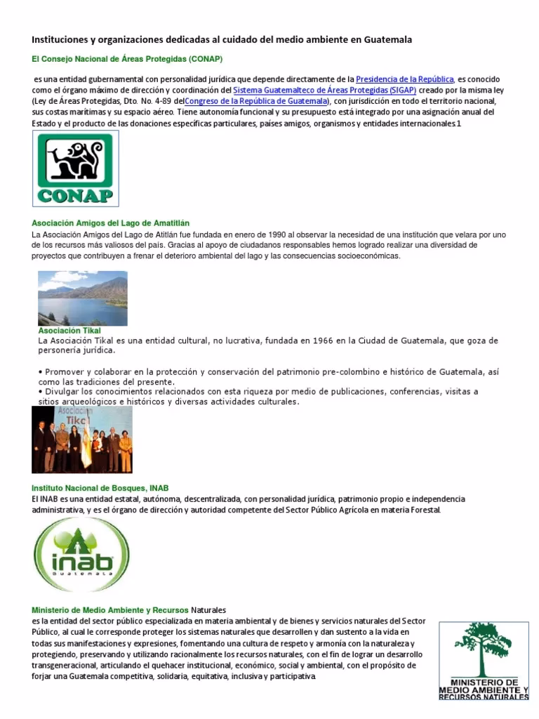 ¿Cuáles son las instituciones más importantes que se dedican a conservar el medio ambiente?