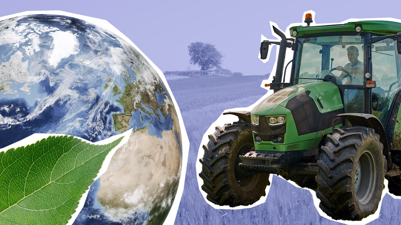 ¿Cuáles son los mecanismos internacionales innovadores de Francia?