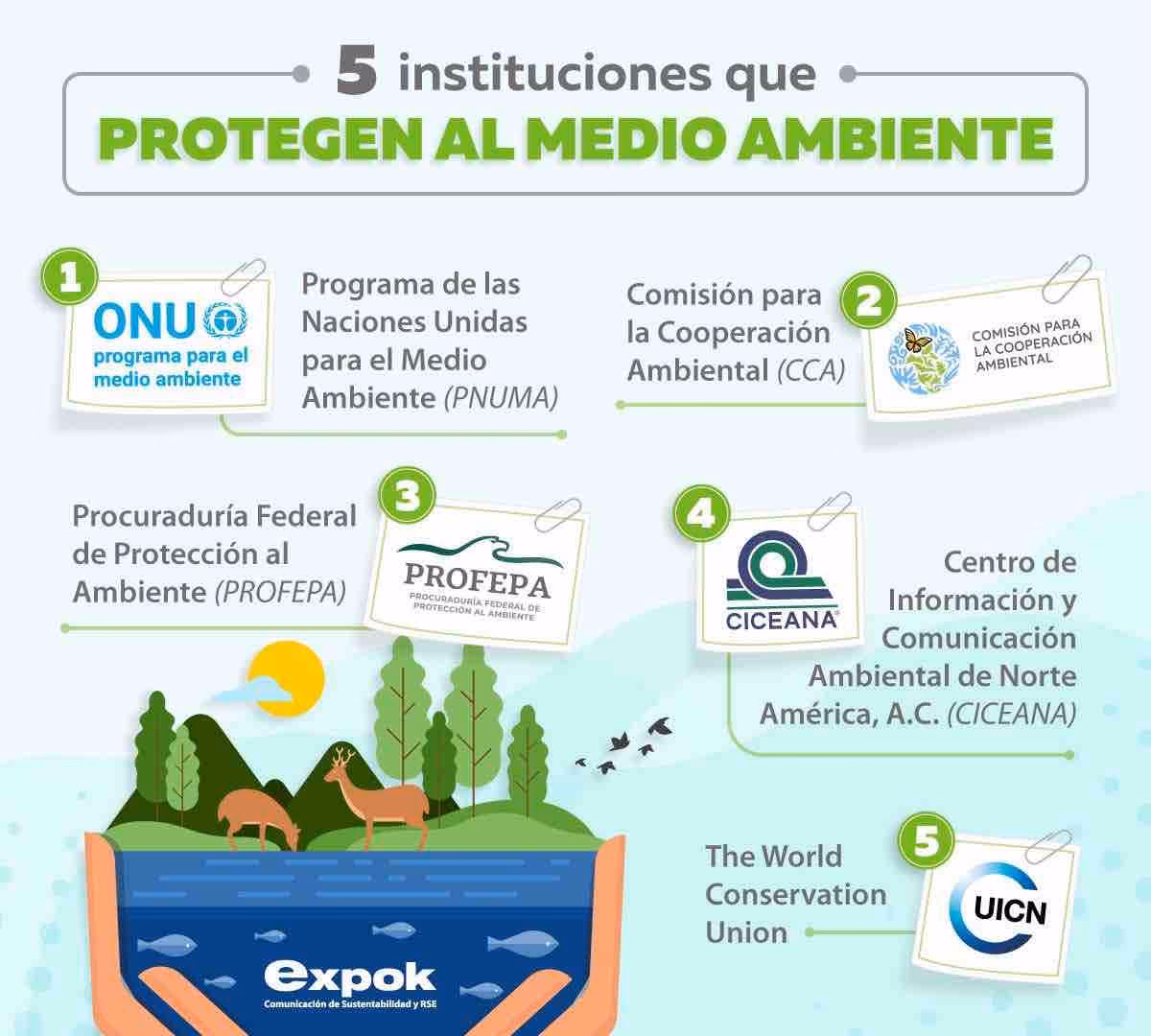 ¿Cuáles son las ONG que cuidan el medio ambiente?