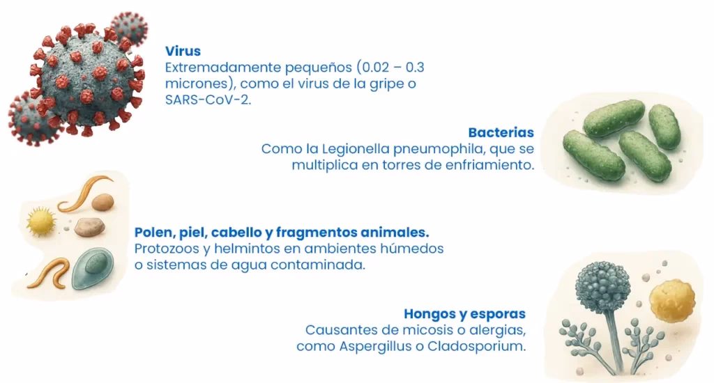 ¿Cuáles son las causas de la contaminación biológica?